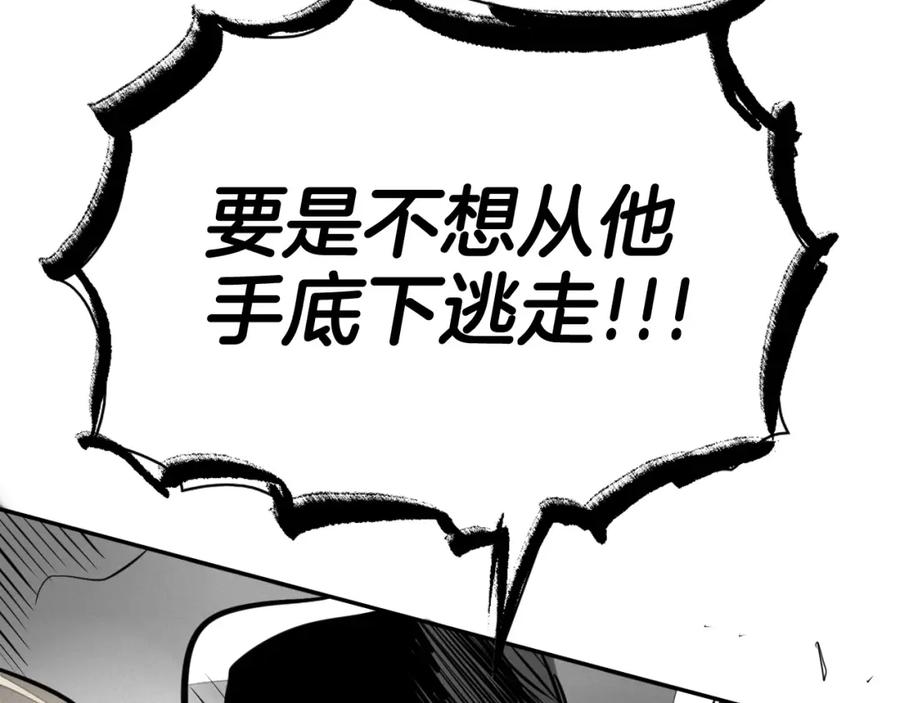 第223页