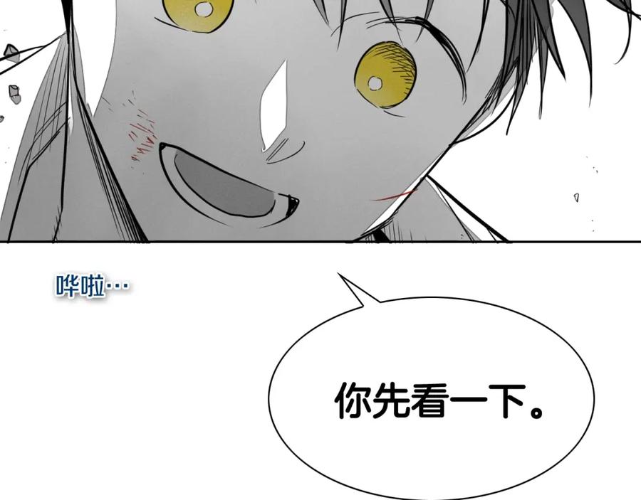 第203页