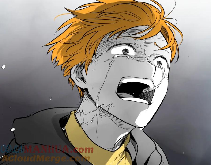 第185页