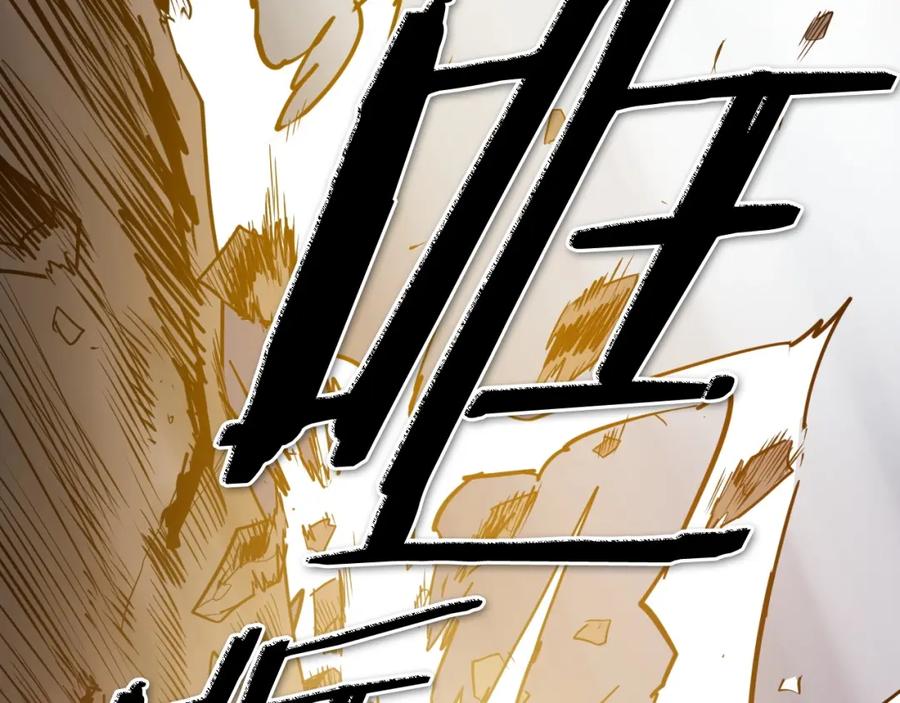 第224页