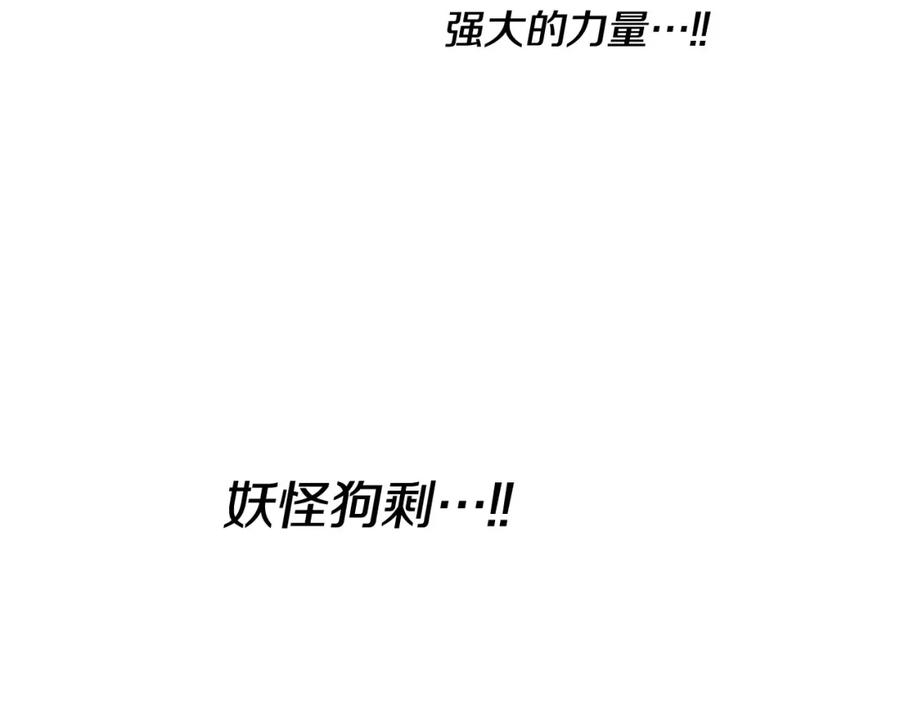 第231页