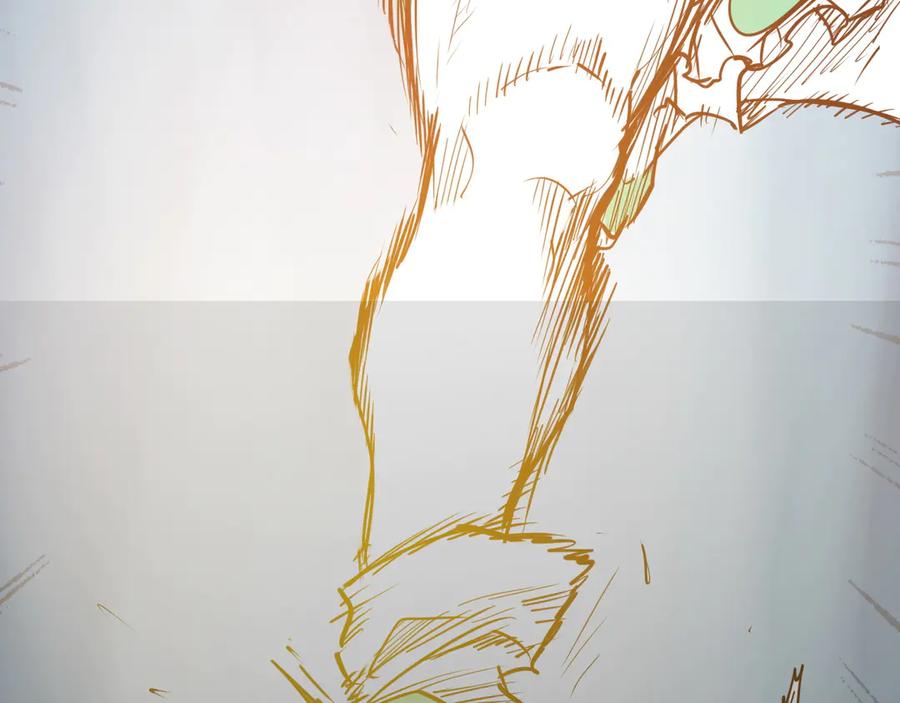 第224页