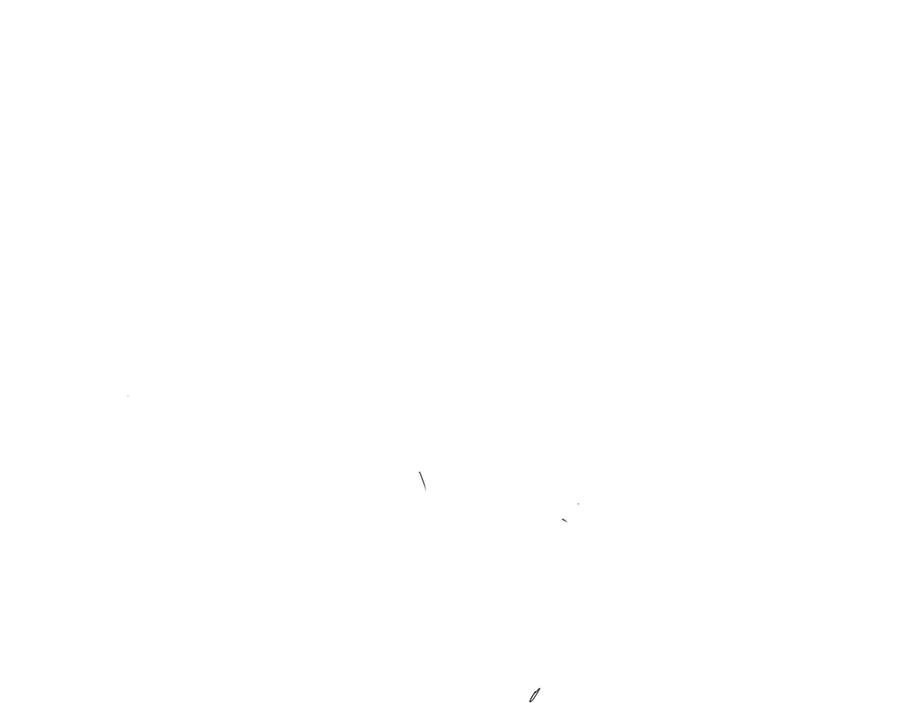 第215页