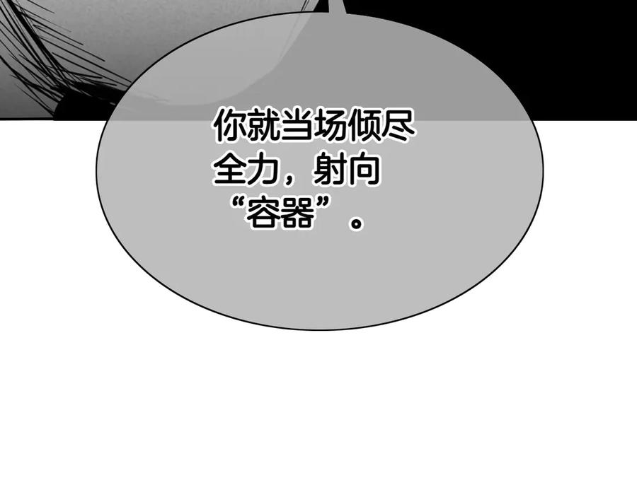 第242页