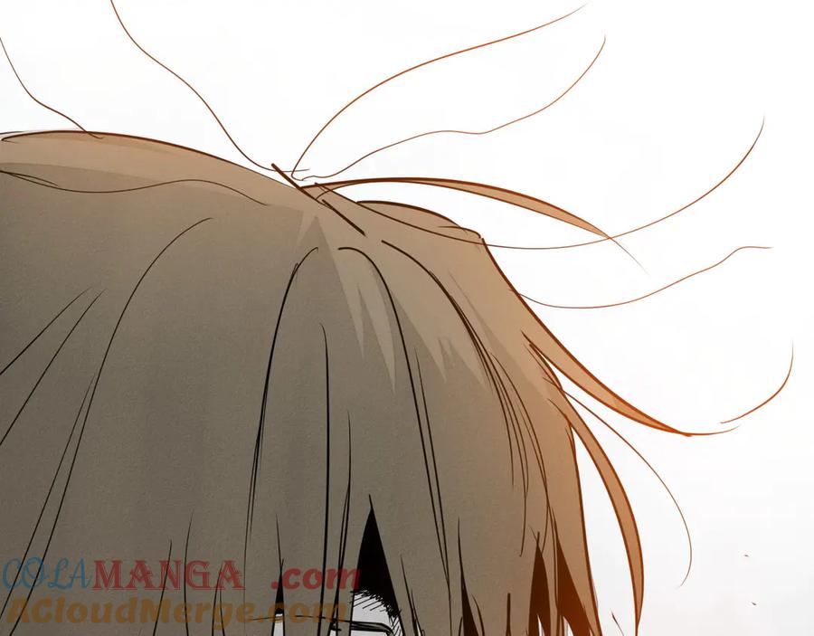 第217页