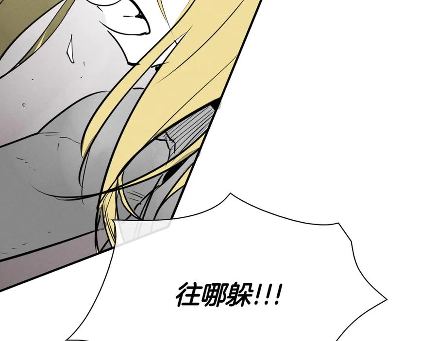 第216页