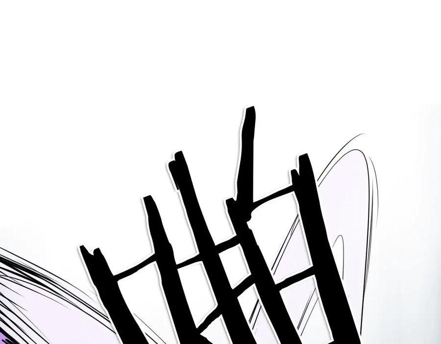 第224页