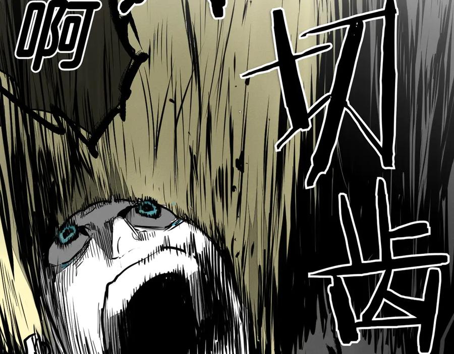 第210页