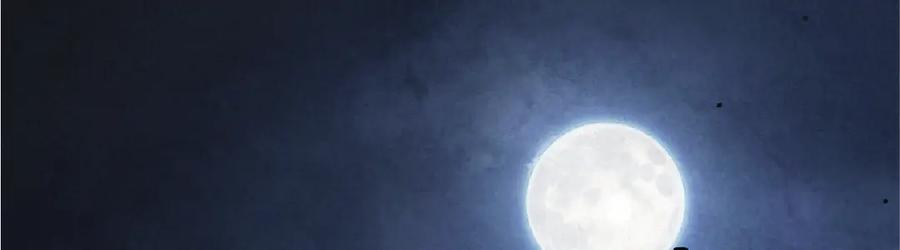 第107页