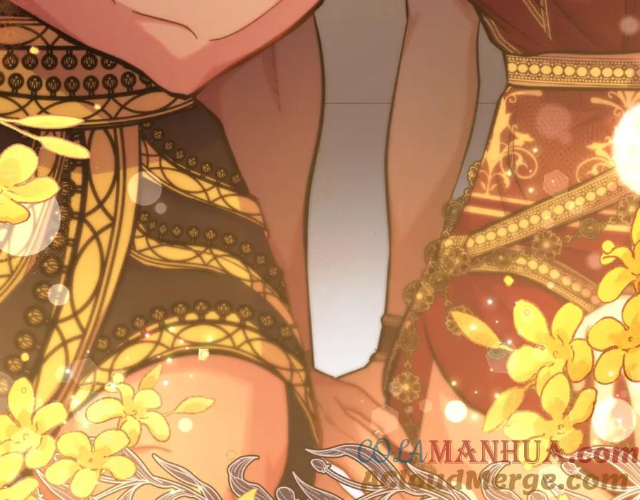 第205页