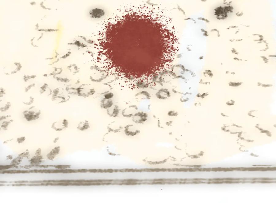 第142页