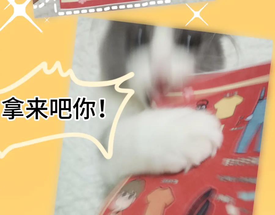 第194页