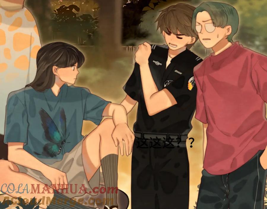 第81页
