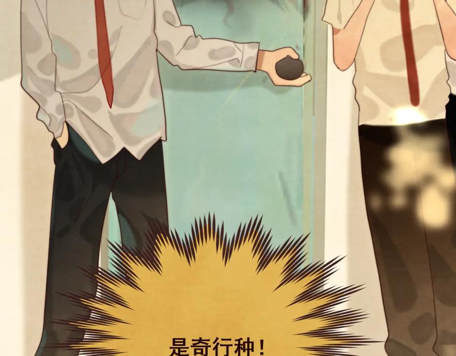 第187页