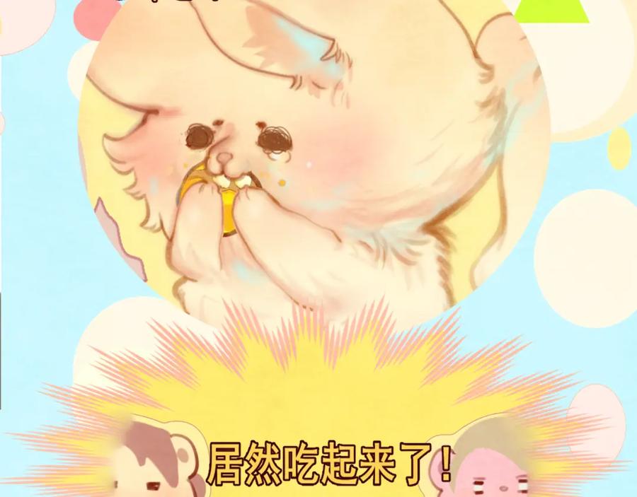 第224页