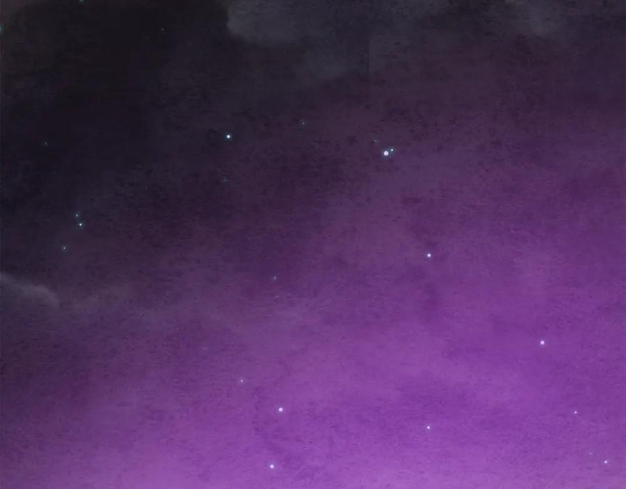 第260页