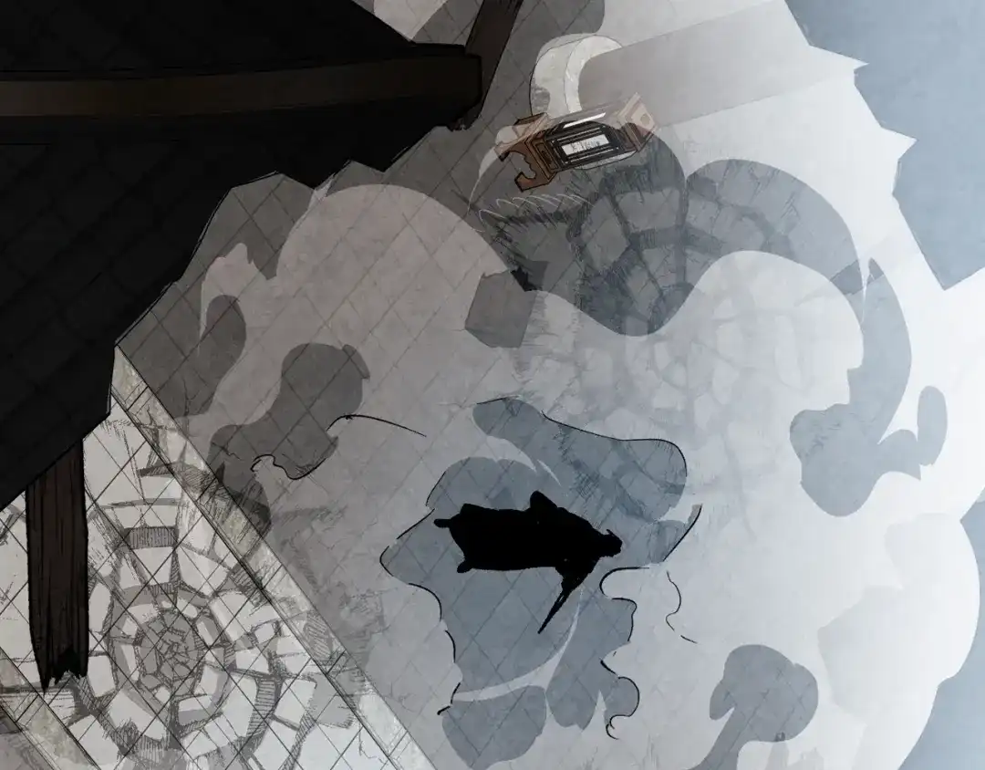 第204页