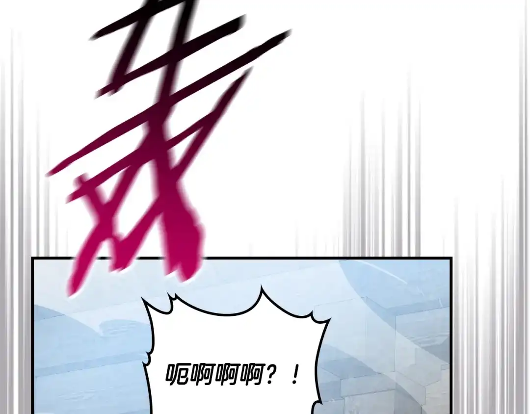 第224页