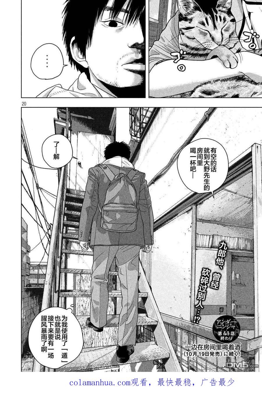 第19页