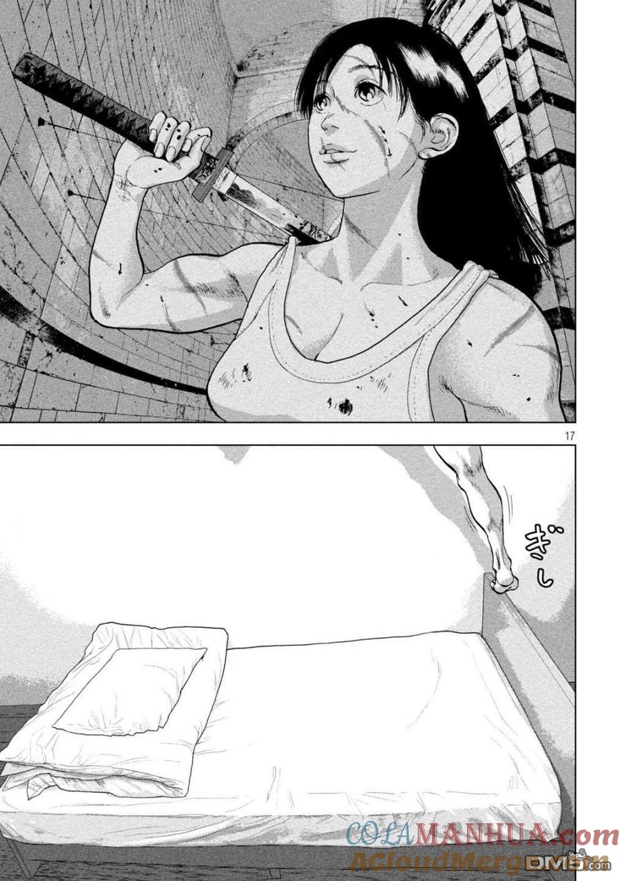 第17页