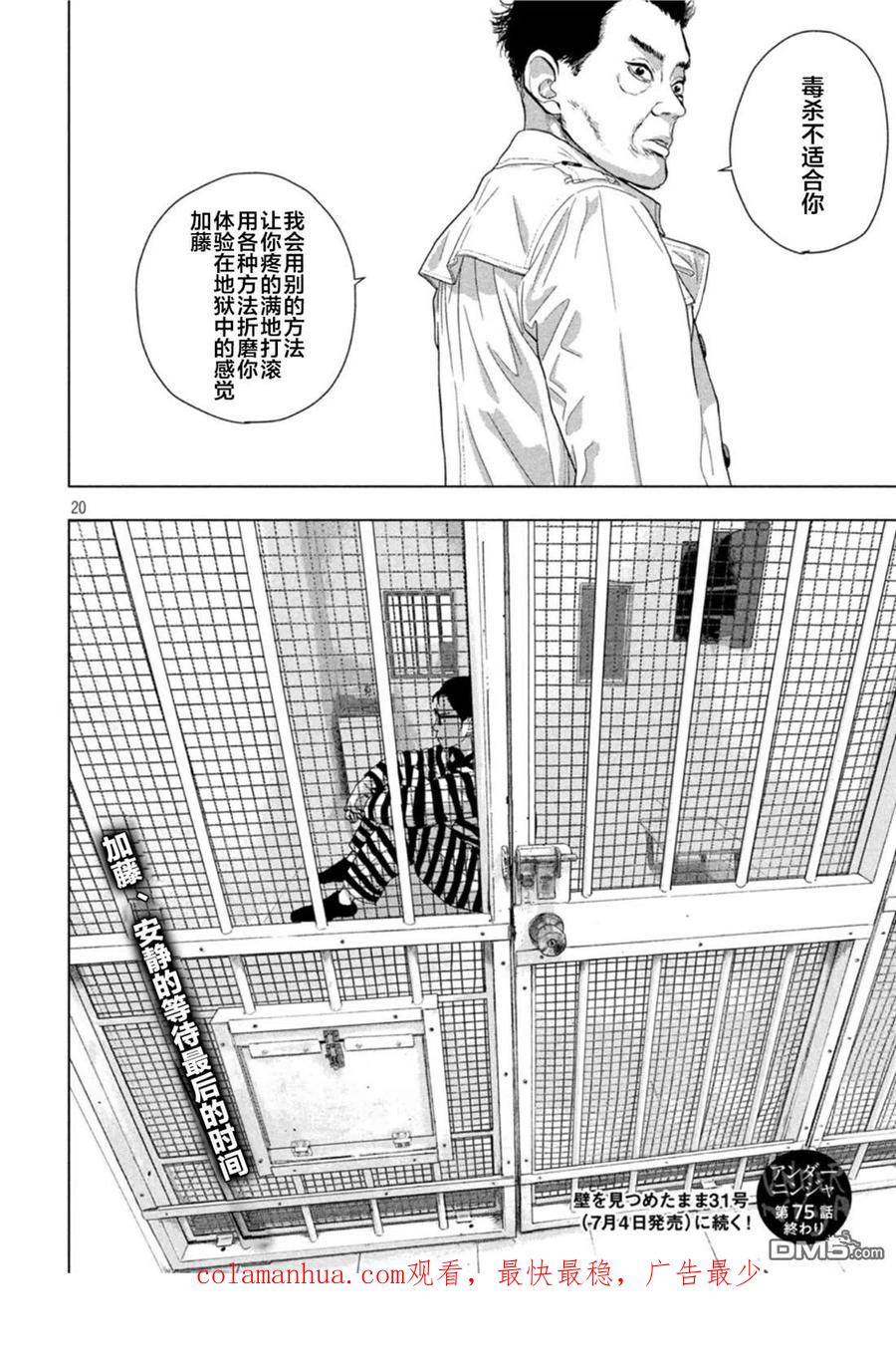 第20页