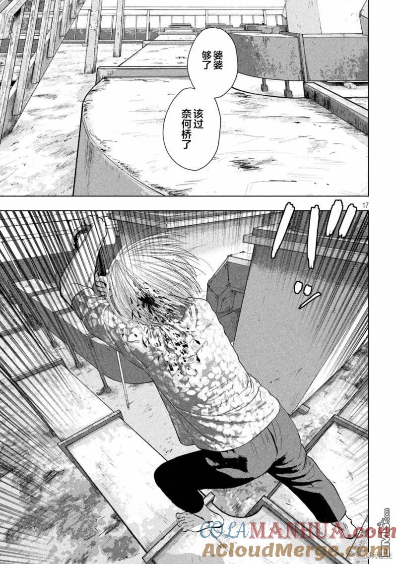 第17页