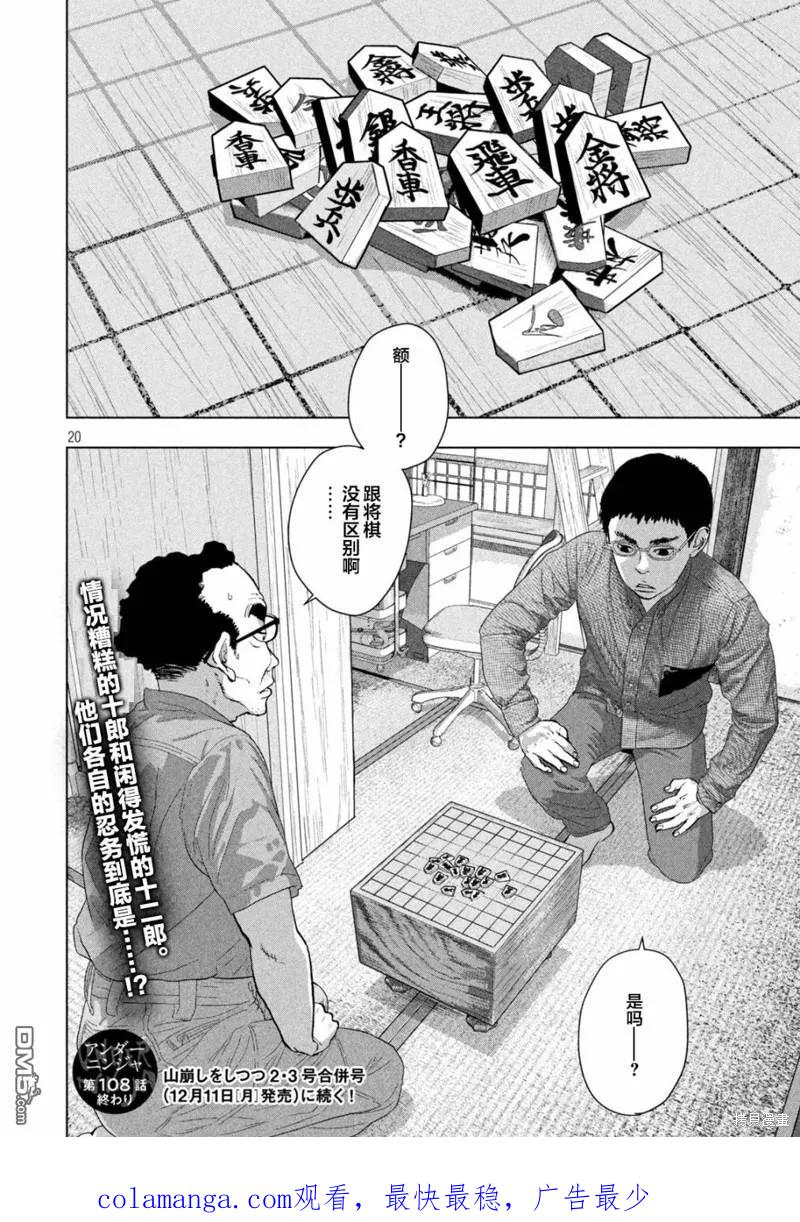第20页