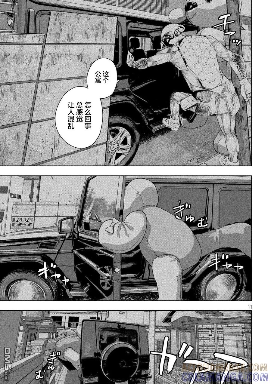 第11页