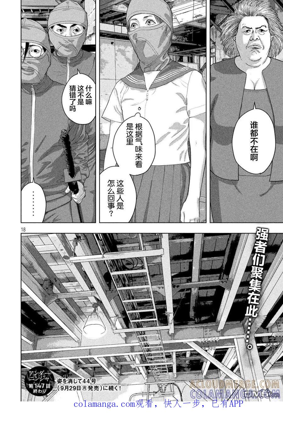 第17页
