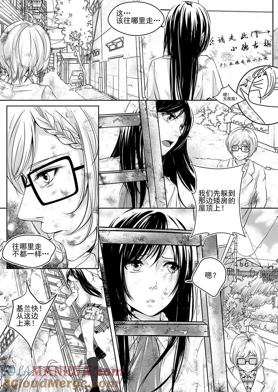 第43页