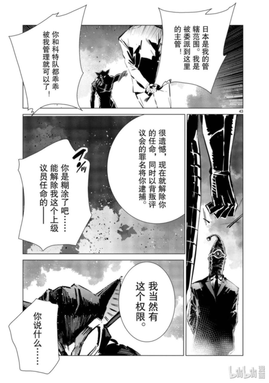 第43页
