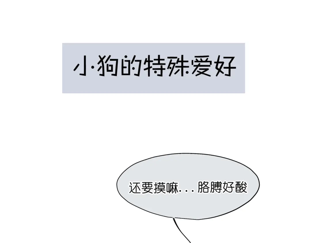 偏见 番外：养狗与养猫的小烦恼❤ 第17页