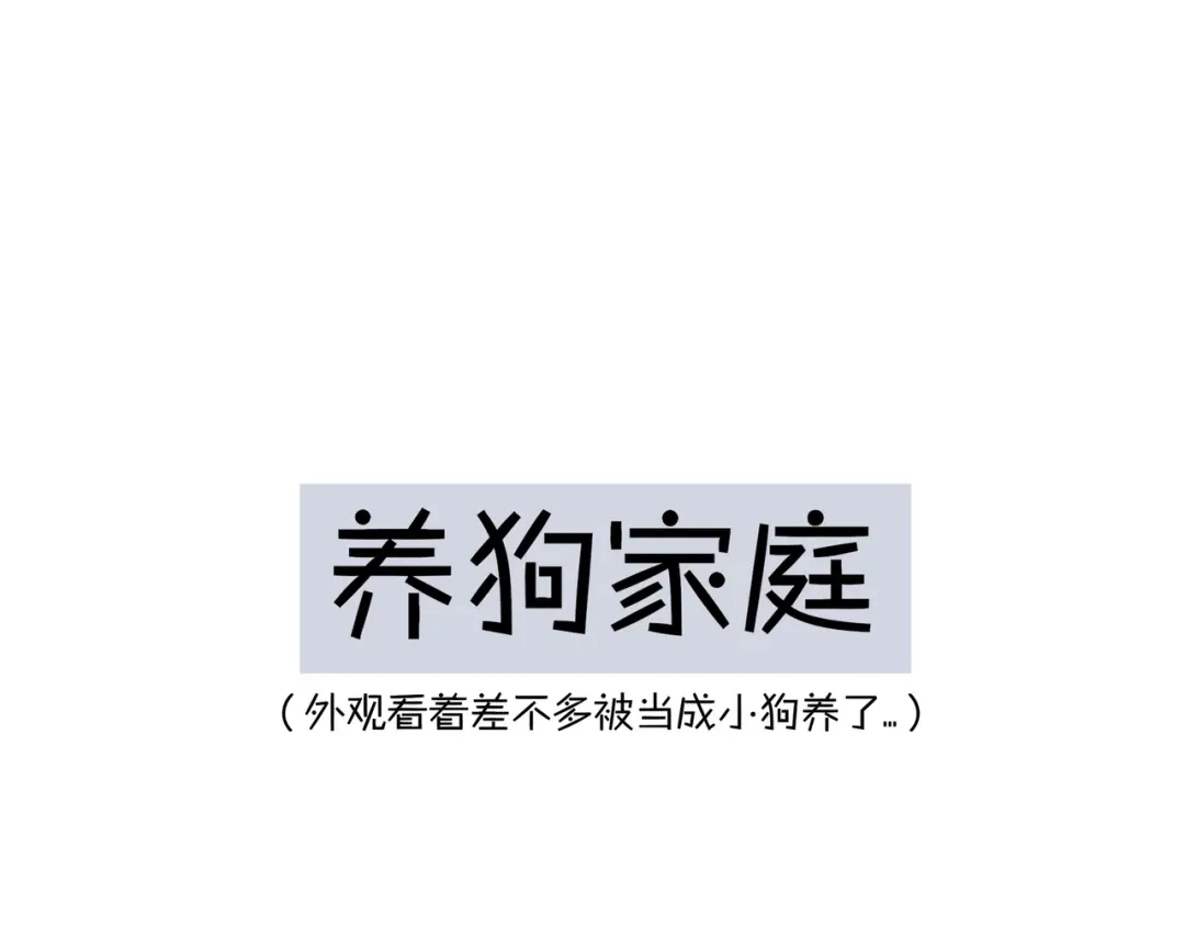 偏见 番外：养狗与养猫的小烦恼❤ 第7页