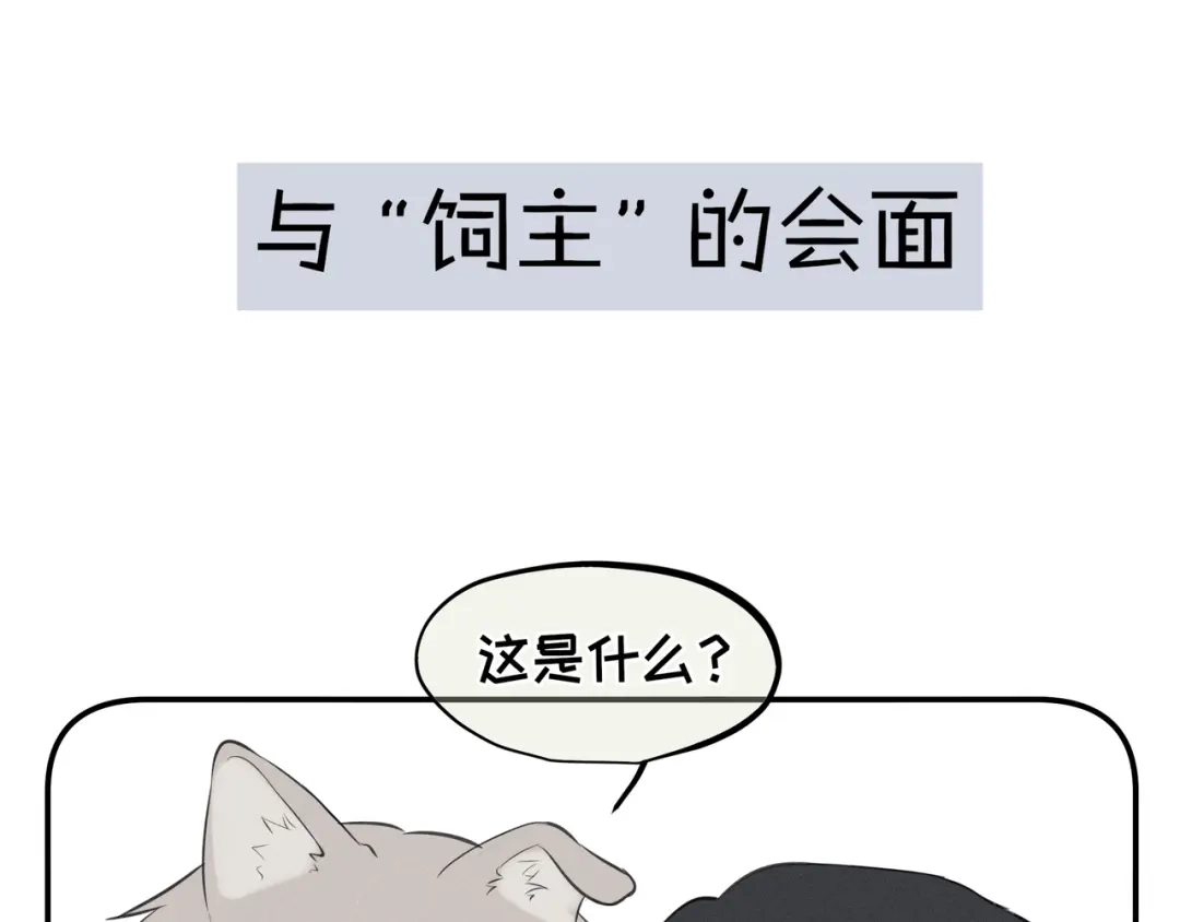 偏见 番外：养狗与养猫的小烦恼❤ 第8页