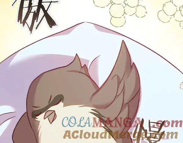第213页