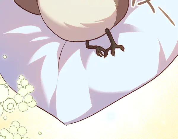 第214页