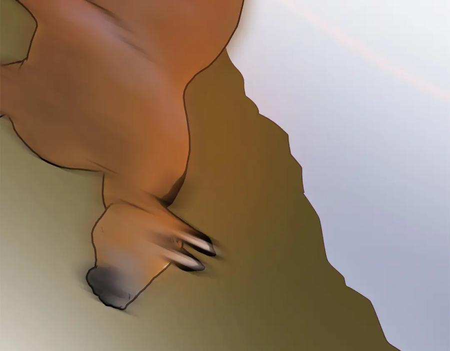 第110页
