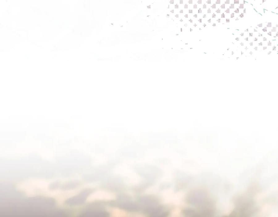 第196页