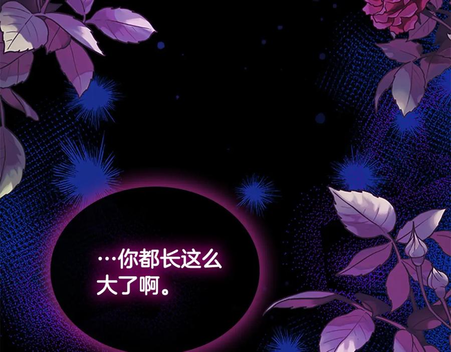 第208页