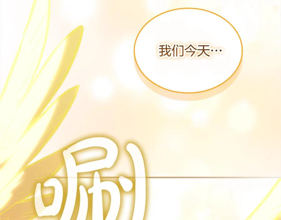 第224页