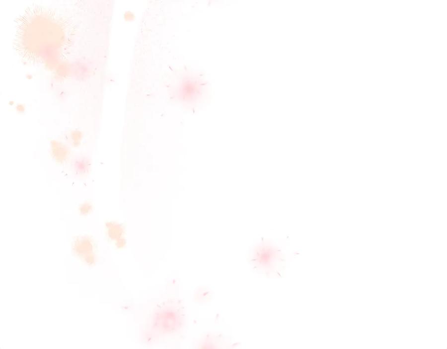 第204页