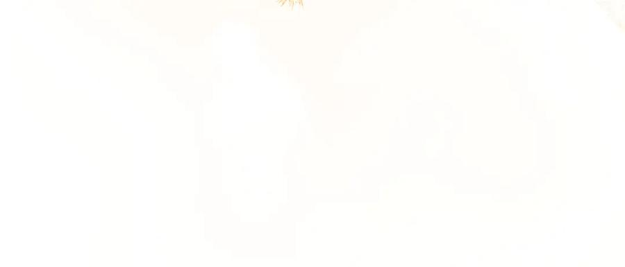 第202页