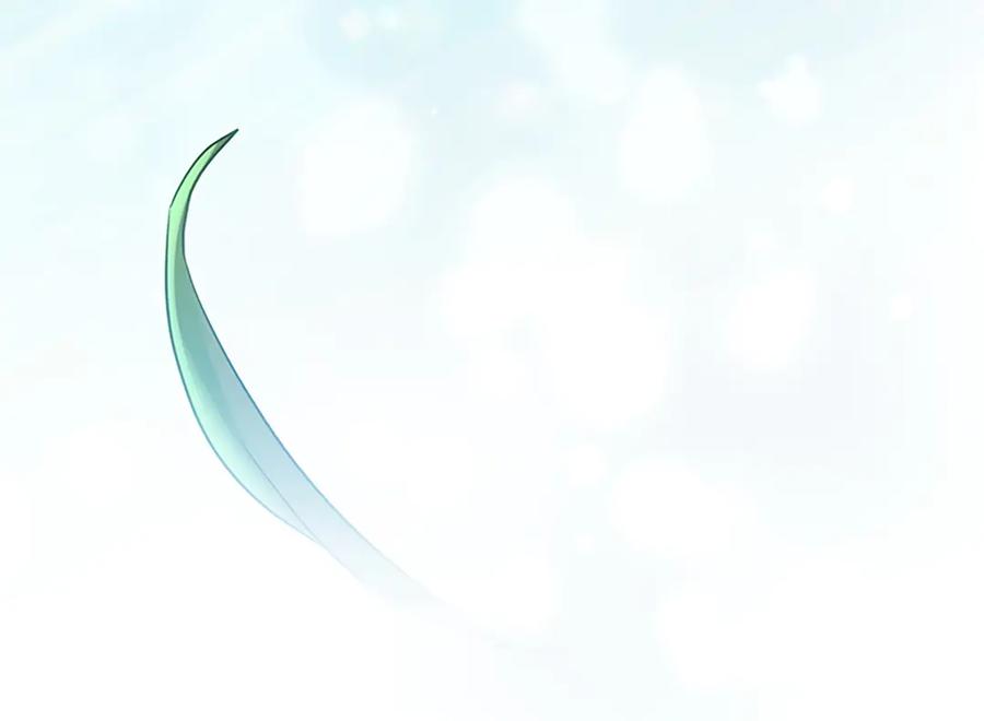 第204页