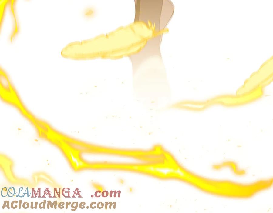 第237页