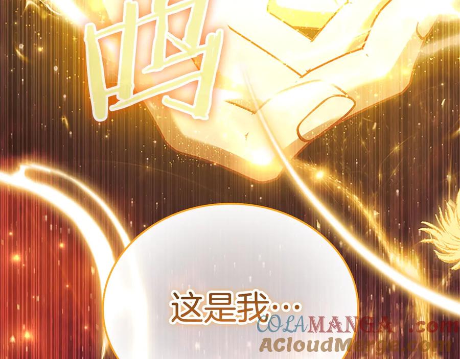 第237页