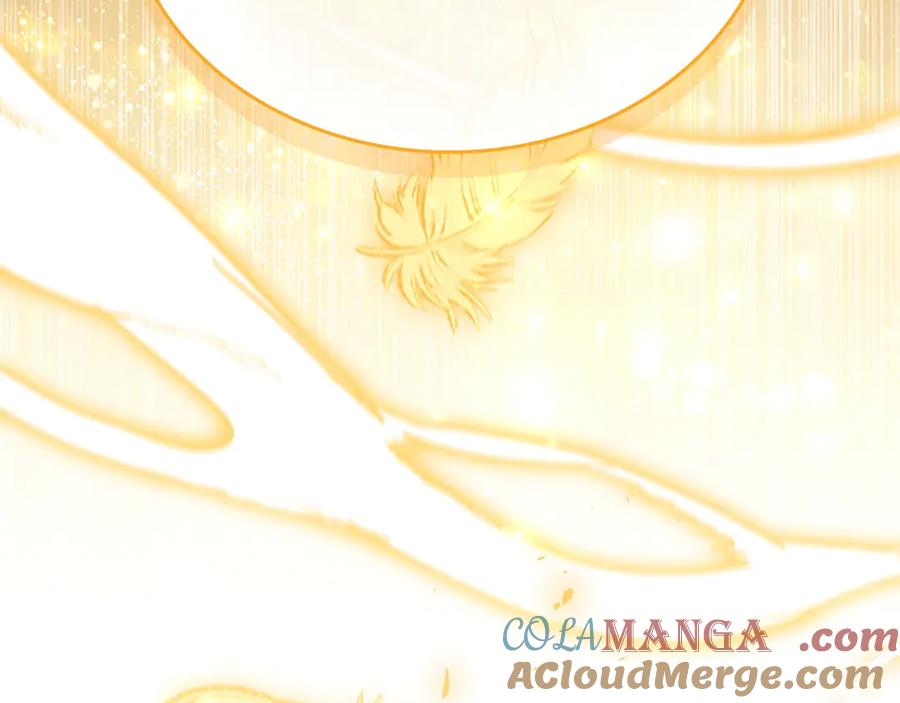 第245页