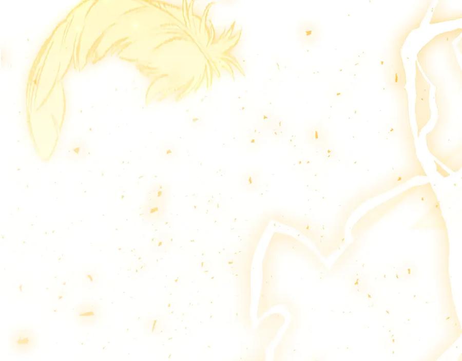 第246页