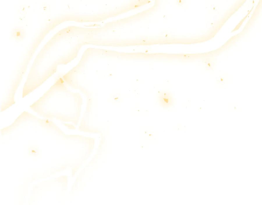 第247页