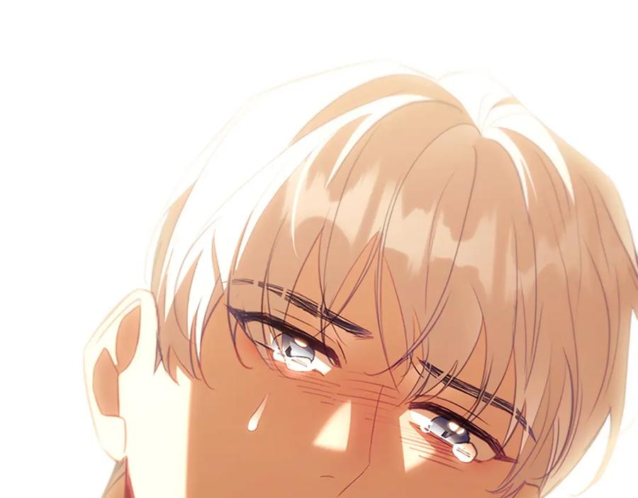 第240页