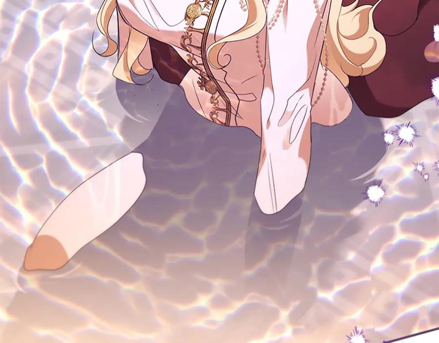 第223页